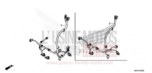 AUXILIARY CORD GL1800DAK de 2019